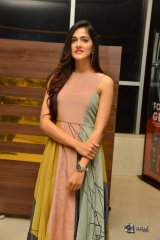 Ee Nagaraniki Emaindi Movie Premiere Show Photos